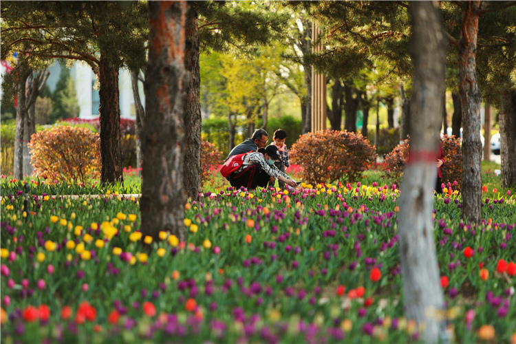 春路雨添花，五月的康巴什被“多彩”環繞。攝：李臻昊.jpg